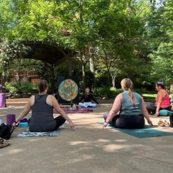 Yoga Group performing Hatha Yoga