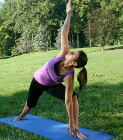 Integrated Yoga Techniques (3)